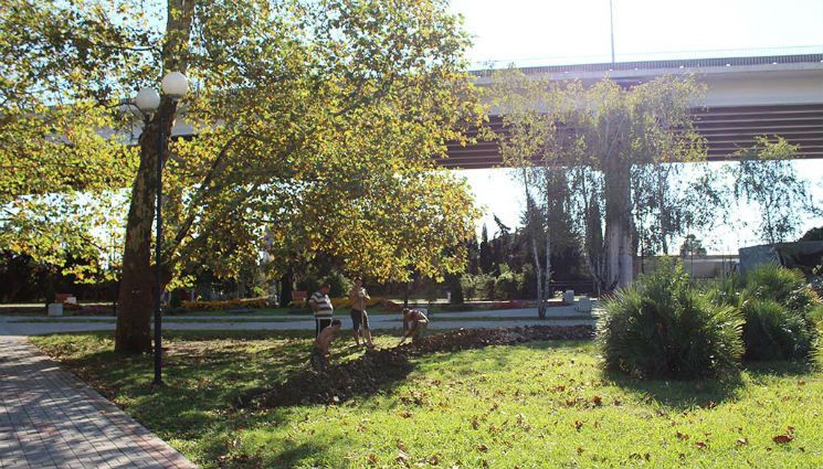 Парк Победы в Хостинском районе Сочи