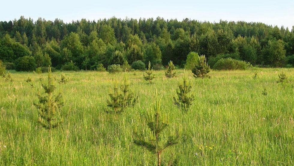 Если федеральные земли не используются их стоит приватизировать. 