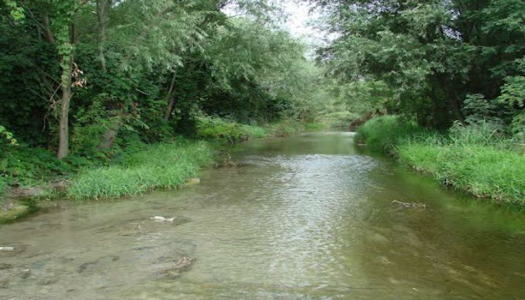 Река Цемес питает Цемесскую рощу.
