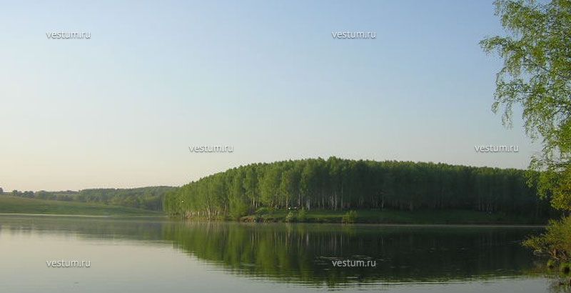 Купить Дом В Куликово Богородского