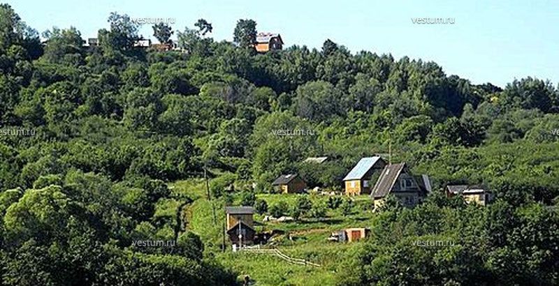 Село Бармино Нижегородская Область Фото