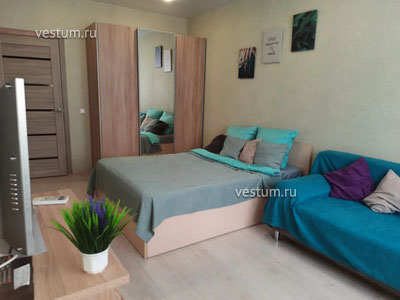 1-комнатная квартира 41 м²